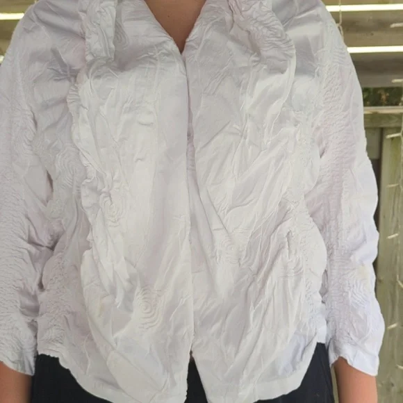 Designer Blouse - Picture 4 of 10